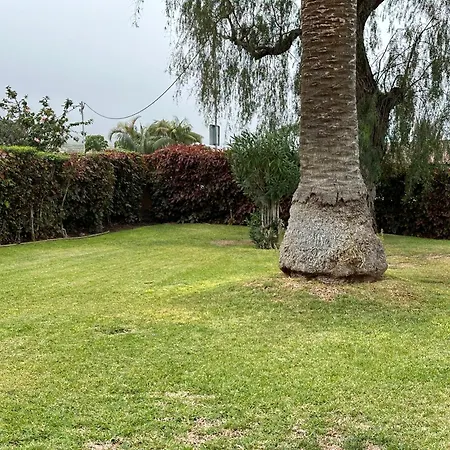 Mirador Oceanic Observatory * Los Realejos