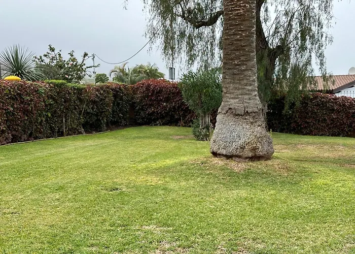 Mirador Oceanic Observatory * Los Realejos